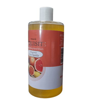 EXQUISITE Antibacterial Hand Wash _ 500ml